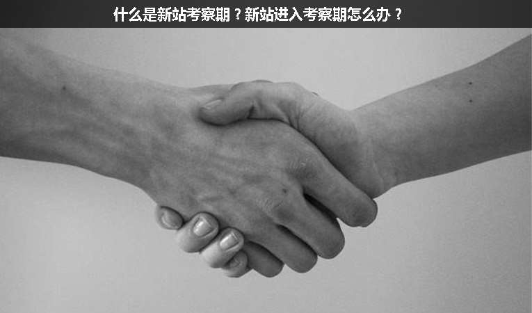 什么是新站考察期？新站進入考察期怎么辦？