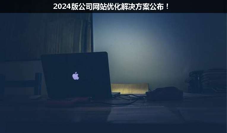 2024版公司網站優(yōu)化解決方案公布！